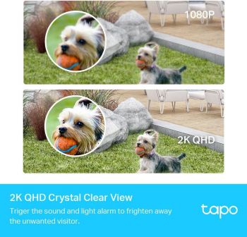 Розумна бездротова система відеоспостереження TP-LINK Tapo C420 4MP N300 (TAPO-C420S2) Купить IP-камеру Розумна бездротова система відеоспостереження TP-LINK Tapo C420 4MP N300 (TAPO-C420S2) | Фото 6