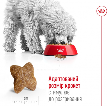Сухий корм для собак Royal Canin Mini Adult дрібних порід 4кг Сухий корм для собак Royal Canin Mini Adult дрібних порід 4кг | Фото 5
