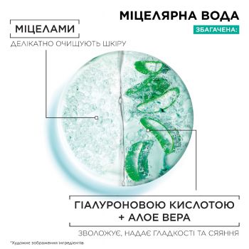 Міцелярна вода з гіалуроновою кислотою Garnier Skin Naturals Алое 400мл (3600542396561) Міцелярна вода з гіалуроновою кислотою Garnier Skin Naturals Алое 400мл (3600542396561) | Фото 7