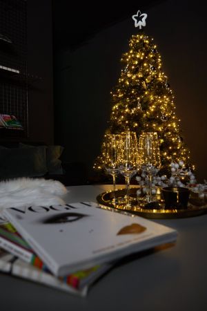 Twinkly Strings RGB 250, BT+WiFi, Gen II, IP44 кабель черный (TWS250STP-BEU) | Фото 9