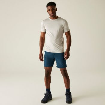 Футболка чоловіча Regatta FingalEdition RMT237-9NY L сіра (5063019939803) | Фото 5