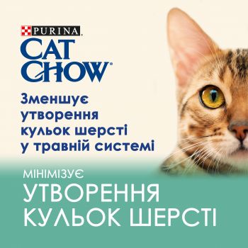 Purina Cat Chow Hairball Проти утворення волосяних кульок. З куркою та зеленою квасолею в желе 85 г (7613037031393) | Фото 3