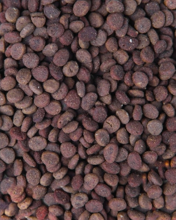 Сухий корм для котів Carnilove True Fresh Cat з рибою 340 г (8595602561414) | Фото 5