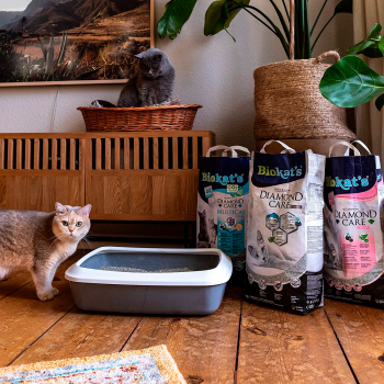 Наповнювач для котячого туалету Biokat's DIAMOND CARE CLASSIC 8 л (4002064613253) Наповнювач для котячого туалету Biokat's DIAMOND CARE CLASSIC 8 л (4002064613253) | Фото 4