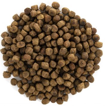 Сухий корм для кошенят Brit Care Cat GF Kitten Growth & Developmen з куркою та індичкою, 0,4 кг (8595602540686) Сухий корм для кошенят Brit Care Cat GF Kitten Growth & Developmen з куркою та індичкою, 0,4 кг (8595602540686) | Фото 6