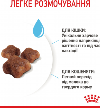 Сухий корм для котів під час вагітності та кошенят до 4 місяців Royal Canin Mother&Babycat 2кг (3182550707312) | Фото 5
