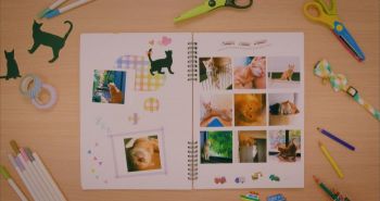 CANON XS-20L (4119C002) | Фото 3