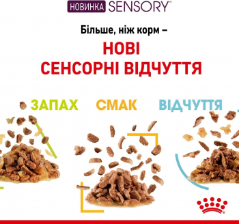 Вологий корм для котів Royal Canin Sensory Taste Gravy 85г (9003579018866) | Фото 6