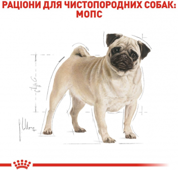 Сухий корм для собак породи Мопс Royal Canin Pug Adult 3кг Сухий корм для собак породи Мопс Royal Canin Pug Adult 3кг | Фото 7