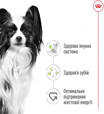 Сухий корм для собак Royal Canin X-Small Adult мініатюрних порід 1.5кг Сухий корм для собак Royal Canin X-Small Adult мініатюрних порід 1.5кг | Фото 2