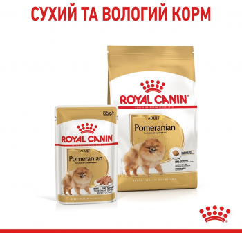Сухий корм для собак породи Померанський шпіц Royal Canin Pomeranian Adult 1.5кг Сухий корм для собак породи Померанський шпіц Royal Canin Pomeranian Adult 1.5кг | Фото 3