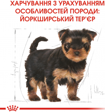 Сухий корм для цуценят породи Йоркширський-тер'єр Royal Canin Yorkshire Puppy 1.5кг Сухий корм для цуценят породи Йоркширський-тер'єр Royal Canin Yorkshire Puppy 1.5кг | Фото 4