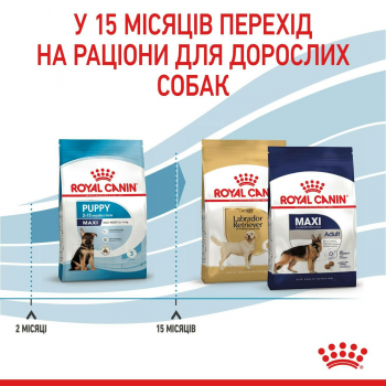 Сухий корм для цуценят Royal Canin Maxi Puppy великих порід собак 1кг (3182550402460) Сухий корм для цуценят Royal Canin Maxi Puppy великих порід собак 1кг (3182550402460) | Фото 7
