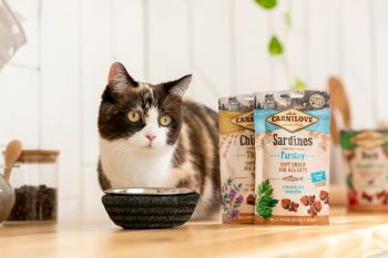 Carnilove Cat Semi Moist Snack сардина,петрушка 50 г (8595602527236) | Фото 5