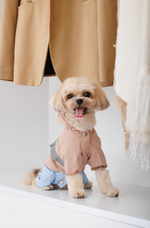 Дощовик для собак Pet Fashion Tina розмір М бежевий (4823082435173) | Фото 8