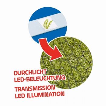 Купить микроскоп Мікроскоп Bresser Junior 40x-640x Green (8851300B4K000) | Фото 3