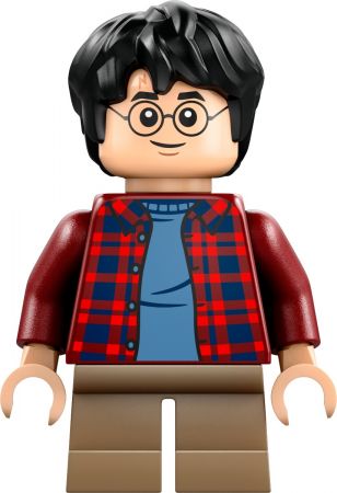 Конструктор LEGO Harry Potter Летючий Форд «Англія» (76424) Конструктор LEGO Harry Potter Летючий Форд «Англія» (76424) | Фото 3