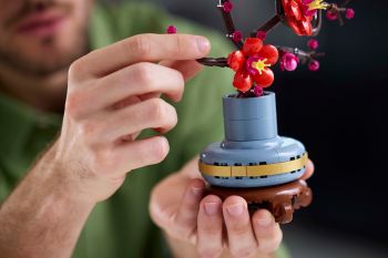 Купить конструктор Конструктор LEGO Icons Сливовий цвіт (10369) | Фото 10