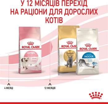 Сухий корм для кошенят Royal Canin Kitten 400г (3182550702379) Сухий корм для кошенят Royal Canin Kitten 400г (3182550702379) | Фото 10