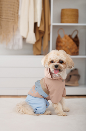 Дощовик для собак Pet Fashion Tina розмір М бежевий (4823082435173) | Фото 5