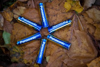 PANASONIC EVOLTA AAA BLI 2 ALKALINE (LR03EGE/2BP) | Фото 3