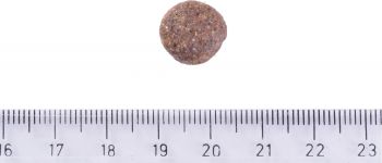 Корм для собак маленьких та середніх порід Brit Care Dog Grain-free Adult беззерновий з лососем 3кг (8595602558841) | Фото 8