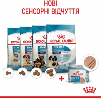Вологий корм Royal Canin Starter Mother & BabyDog Mousse в період лактації та цуценят 195 г Вологий корм Royal Canin Starter Mother & BabyDog Mousse в період лактації та цуценят 195 г | Фото 7