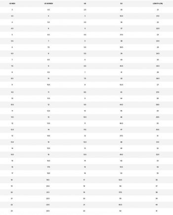 Кеди CONVERSE Star Player 76 Ox A11510C 37 (4.5 US) сірі (194435329574) Кеди CONVERSE Star Player 76 Ox A11510C 37 (4.5 US) сірі (194435329574) | Фото 7