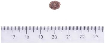 Корм для собак малих порід Brit Care Dog Sustainable Adult Small Breed з куркою та комахами 1кг (8595602558674) Корм для собак малих порід Brit Care Dog Sustainable Adult Small Breed з куркою та комахами 1кг (8595602558674) | Фото 3