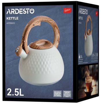 Чайник ARDESTO Gemini, 2.5 л, нержавіюча сталь (AR1956KS) | Фото 1