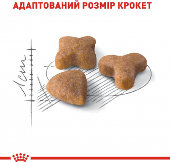 Сухий корм для котів Royal Canin Sensible з чутливою системою травлення 2кг (3182550702317) | Фото 4