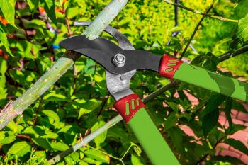 Купить секатор и сучкорез VERTO 15G252 | Фото 2