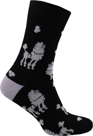 Набір шкарпеток жіночих Premier Socks 36-40 3 пари різнокольорові (4820203350209) | Фото 5