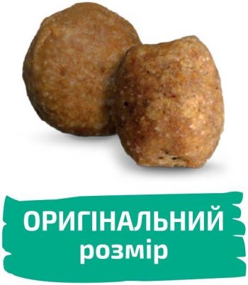 Сухий корм для дорослих собак Green Petfood InsectDog Sensitive 900 г (4032254748076) Сухий корм для дорослих собак Green Petfood InsectDog Sensitive 900 г (4032254748076) | Фото 2