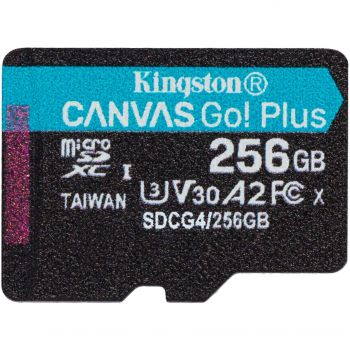 Карта пам'яті KINGSTON microSD 256GB C10 UHS-I U3 A2 V30 R200/W160MB/s (SDCG4/256GBSP) | Фото 1