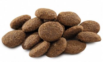 Сухий корм для дорослих собак гігантських порід Brit Premium Adult XL зі смаком курки 15 кг(8595602526529) | Фото 4