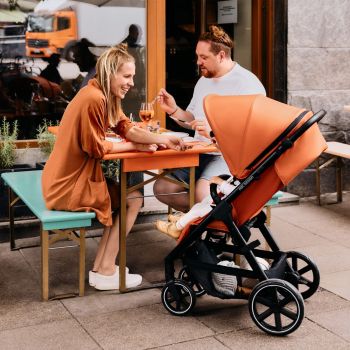 Коляска прогулянкова ABC Design Avus carrot (12004512400) | Фото 8