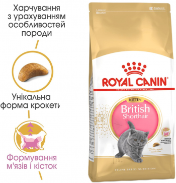 Сухий корм для кошенят породи Британська короткошерста Royal Canin Kitten British Shorthair 2кг (3182550816533) Сухий корм для кошенят породи Британська короткошерста Royal Canin Kitten British Shorthair 2кг (3182550816533) | Фото 2