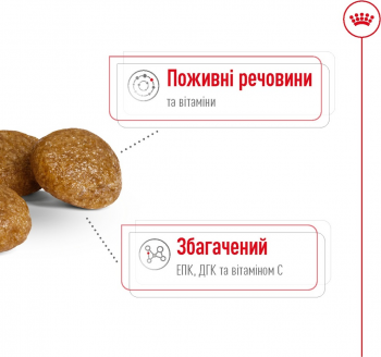 Сухий корм для собак Royal Canin X-Small Adult 8+ мініатюрних порід старше 8 років 3кг Сухий корм для собак Royal Canin X-Small Adult 8+ мініатюрних порід старше 8 років 3кг | Фото 7