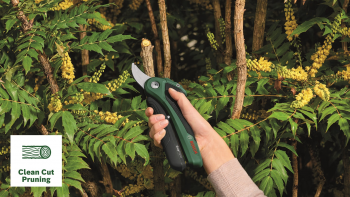 Секатор аккумуляторний BOSCH EasyPrune 12В (0.600.8B2.102) | Фото 6