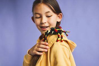 Конструктор LEGO Creator Дикі тварини: Дивовижний павук (31159) | Фото 11