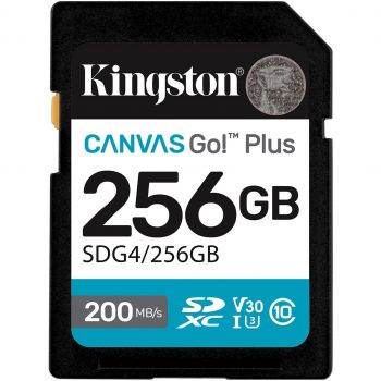 Карта пам'яті KINGSTON SD 256GB C10 UHS-I U3 V30 R200/W160MB/s (SDG4/256GB) | Фото 1