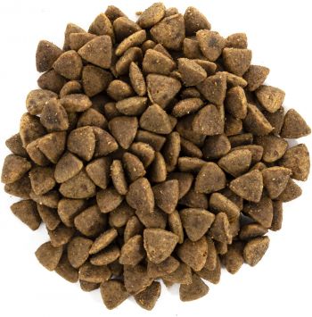 Сухий корм Brit Care Cat GF Adult Activity Suppor з куркою та індичкою, 0,4 кг (8595602540839) Сухий корм Brit Care Cat GF Adult Activity Suppor з куркою та індичкою, 0,4 кг (8595602540839) | Фото 4