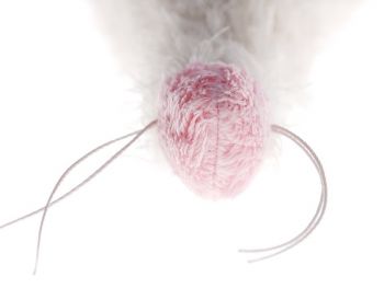 SIGIKID Мышка 32 см (41534SK) | Фото 4