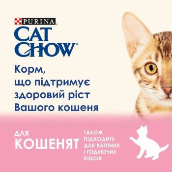 Cat Chow Kitten. З ягням та цукіні в желе, 85 г (7613037025545) | Фото 4