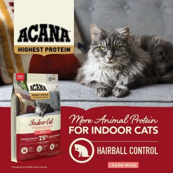 Сухий корм для дорослих домашніх котів Acana Highest Protein, Indoor Cat Recipe 1.8kg (a72397) Сухий корм для дорослих домашніх котів Acana Highest Protein, Indoor Cat Recipe 1.8kg (a72397) | Фото 2