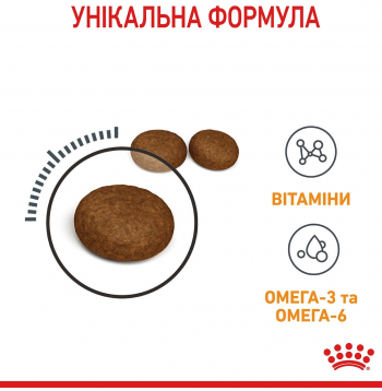 Сухий корм для котів Royal Canin Hair&Skin Care для підтримки здоров'я шкіри та блиску вовни 2кг (3182550721738) Сухий корм для котів Royal Canin Hair&Skin Care для підтримки здоров'я шкіри та блиску вовни 2кг (3182550721738) | Фото 5