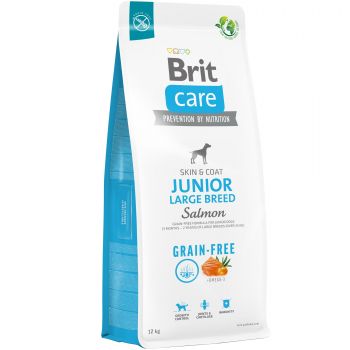 Корм для молодих собак великих порід Brit Care Dog Grain-free Junior Large Breed з лососем 12 кг (8595602558865)  | Фото 1