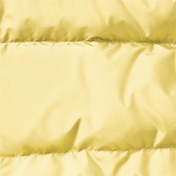 Пуховик жіночий Jack Wolfskin Frozen Palace Jkt W Rds A65097_M0064 S жовтий (4064886550017) Пуховик жіночий Jack Wolfskin Frozen Palace Jkt W Rds A65097_M0064 S жовтий (4064886550017) | Фото 2