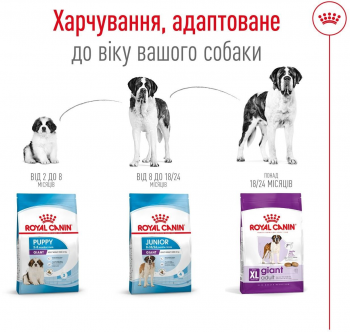 Сухий корм для собак Royal Canin Giant Adult гігантських порід 15кг | Фото 3